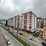 Bazalt 트라존